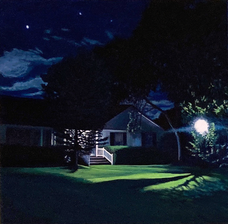 Suburban Nightscape - Stay Out of the Light